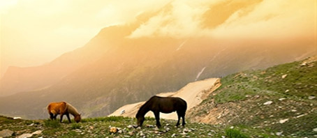 Himachal Tour Packages, Himachal Package Tours, Himachal Tourism, Tour Package to Himachal