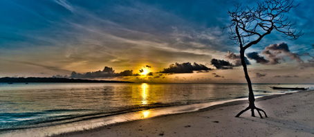 Andaman Tour Packages, Andaman Package Tours, Andaman Tourism, Tour Package to Andaman