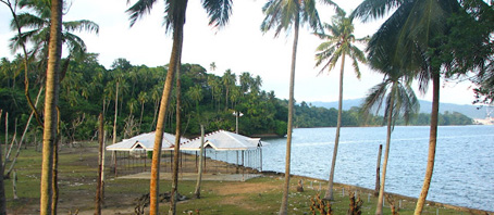 Andaman Tour Packages, Andaman Package Tours, Andaman Tourism, Tour Package to Andaman