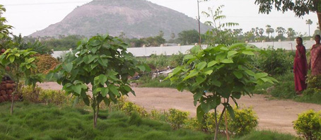 Andhra Pradesh Tour Packages, Andhra Pradesh Package Tours, Andhra Pradesh Tourism, Tour Package to Andhra Pradesh