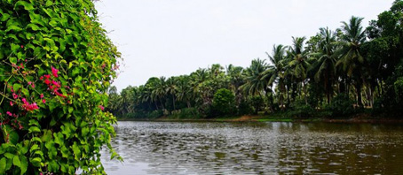 Andhra Pradesh Tour Packages, Andhra Pradesh Package Tours, Andhra Pradesh Tourism, Tour Package to Andhra Pradesh