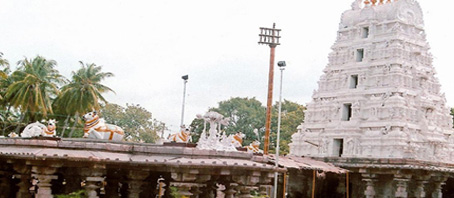 Andhra Pradesh Tour Packages, Andhra Pradesh Package Tours, Andhra Pradesh Tourism, Tour Package to Andhra Pradesh