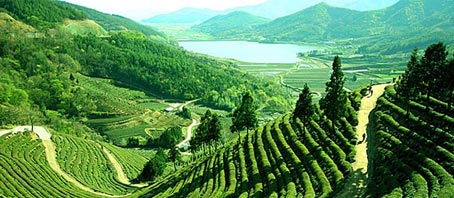 West Bengal Tour Packages, West Bengal Package Tours, West Bengal Tourism, Tour Package to West Bengal