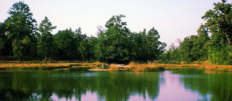 Chhattisgarh Tour Packages, Chhattisgarh Package Tours, Chhattisgarh Tourism, Tour Package to Chhattisgarh