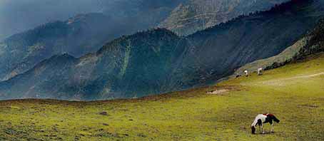 Chehni Tour, Chehni Tour Package, Tour to Chehni