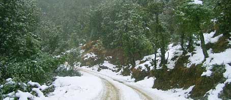 Shilon Bagh Tour, Shilon Bagh Tour Package, Tour to Shilon Bagh