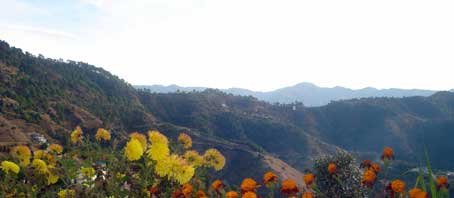 Shoghi Tour, Shoghi Tour Package, Tour to Shoghi