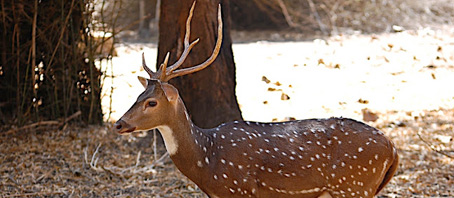 Karnataka Tour Packages, Karnataka Package Tours, Karnataka Tourism, Tour Package to Karnataka