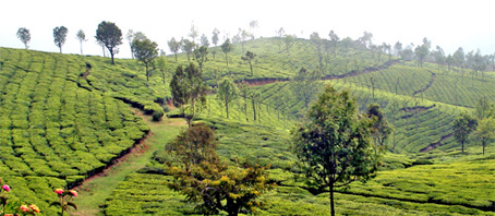 Karnataka Tour Packages, Karnataka Package Tours, Karnataka Tourism, Tour Package to Karnataka