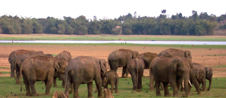 Karnataka Tour Packages, Karnataka Package Tours, Karnataka Tourism, Tour Package to Karnataka