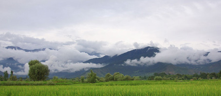 Kashmir Tour Packages, Kashmir Package Tours, Kashmir Tourism, Tour Package to Kashmir