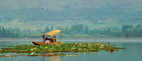 Kashmir Tour Packages, Kashmir Package Tours, Kashmir Tourism, Tour Package to Kashmir
