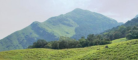 Kerala Tour Packages, Kerala Package Tours, Kerala Tourism, Tour Package to Kerala