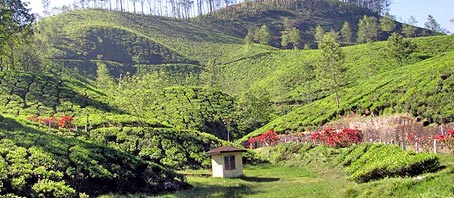 Kerala Tour Packages, Kerala Package Tours, Kerala Tourism, Tour Package to Kerala