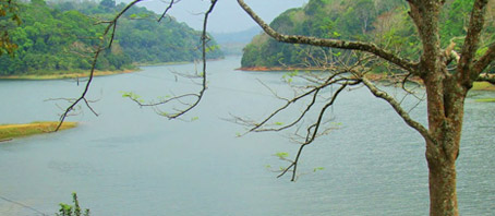 Kerala Tour Packages, Kerala Package Tours, Kerala Tourism, Tour Package to Kerala