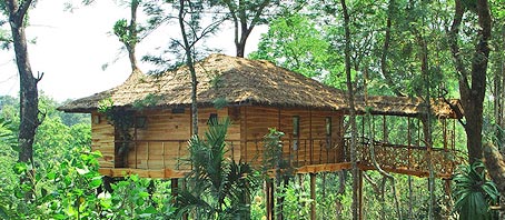 Kerala Tour Packages, Kerala Package Tours, Kerala Tourism, Tour Package to Kerala