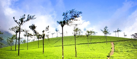 Kerala Tour Packages, Kerala Package Tours, Kerala Tourism, Tour Package to Kerala