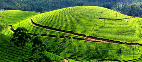 Kerala Tour Packages, Kerala Package Tours, Kerala Tourism, Tour Package to Kerala