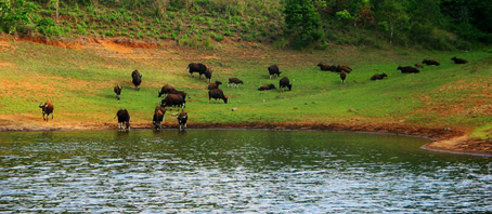 Kerala Tour Packages, Kerala Package Tours, Kerala Tourism, Tour Package to Kerala