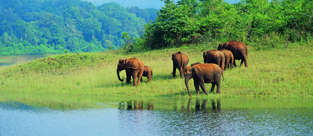 Kerala Tour Packages, Kerala Package Tours, Kerala Tourism, Tour Package to Kerala