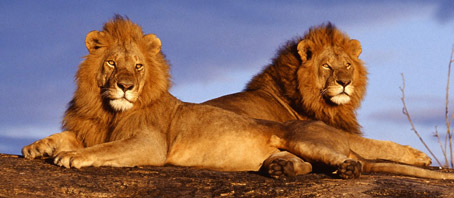 Kerala Tour Packages, Kerala Package Tours, Kerala Tourism, Tour Package to Kerala