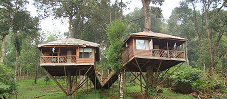 Kerala Tour Packages, Kerala Package Tours, Kerala Tourism, Tour Package to Kerala