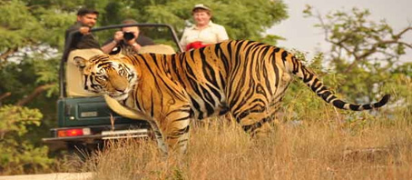 Madhya Pradesh Tour Packages, Madhya Pradesh Package Tours, Madhya Pradesh Tourism, Tour Package to Madhya Pradesh