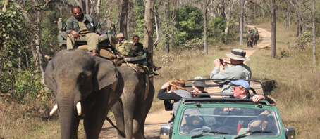 Madhya Pradesh Tour Packages, Madhya Pradesh Package Tours, Madhya Pradesh Tourism, Tour Package to Madhya Pradesh