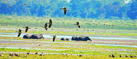 North East India Tour Packages, North East India Package Tours, North East India Tourism, Tour Package to North East India