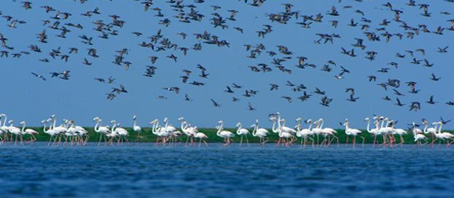 Orissa Tour Packages, Orissa Package Tours, Orissa Tourism, Tour Package to Orissa