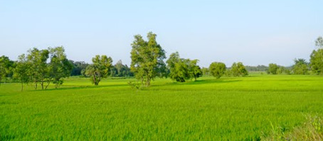 Orissa Tour Packages, Orissa Package Tours, Orissa Tourism, Tour Package to Orissa