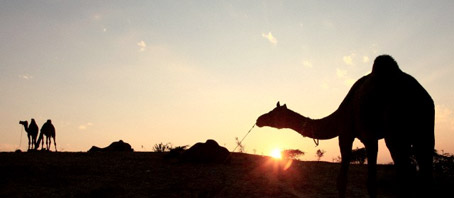 Rajasthan Tour Packages, Rajasthan Package Tours, Rajasthan Tourism, Tour Package to Rajasthan