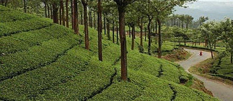 Tamil Nadu Tour Packages, Tamil Nadu Package Tours, Tamil Nadu Tourism, Tour Package to Tamil Nadu
