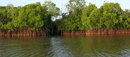 Tamil Nadu Tour Packages, Tamil Nadu Package Tours, Tamil Nadu Tourism, Tour Package to Tamil Nadu