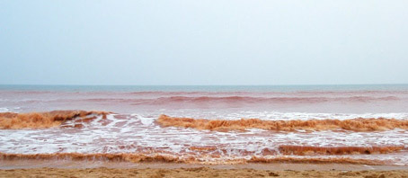Tamil Nadu Tour Packages, Tamil Nadu Package Tours, Tamil Nadu Tourism, Tour Package to Tamil Nadu