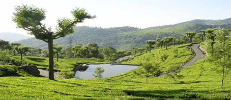 Tamil Nadu Tour Packages, Tamil Nadu Package Tours, Tamil Nadu Tourism, Tour Package to Tamil Nadu