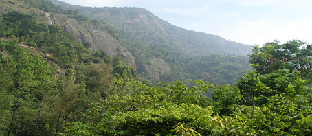 Tamil Nadu Tour Packages, Tamil Nadu Package Tours, Tamil Nadu Tourism, Tour Package to Tamil Nadu