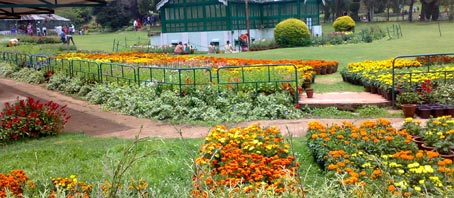 Tamil Nadu Tour Packages, Tamil Nadu Package Tours, Tamil Nadu Tourism, Tour Package to Tamil Nadu