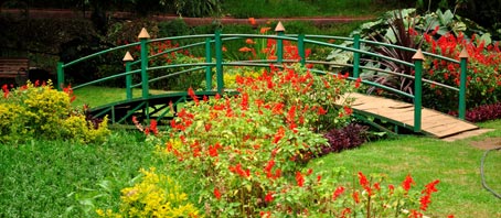 Tamil Nadu Tour Packages, Tamil Nadu Package Tours, Tamil Nadu Tourism, Tour Package to Tamil Nadu
