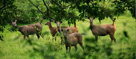 Tamil Nadu Tour Packages, Tamil Nadu Package Tours, Tamil Nadu Tourism, Tour Package to Tamil Nadu