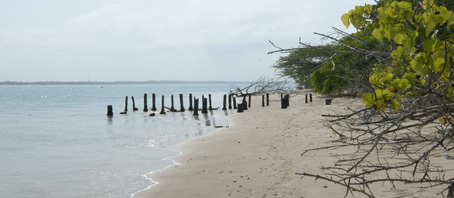 Tamil Nadu Tour Packages, Tamil Nadu Package Tours, Tamil Nadu Tourism, Tour Package to Tamil Nadu