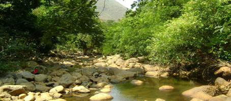 Tamil Nadu Tour Packages, Tamil Nadu Package Tours, Tamil Nadu Tourism, Tour Package to Tamil Nadu