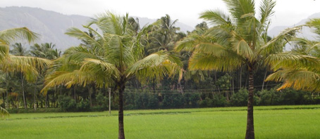 Tamil Nadu Tour Packages, Tamil Nadu Package Tours, Tamil Nadu Tourism, Tour Package to Tamil Nadu