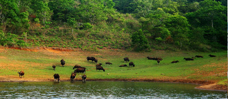 Tamil Nadu Tour Packages, Tamil Nadu Package Tours, Tamil Nadu Tourism, Tour Package to Tamil Nadu