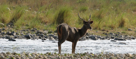 Uttarakhand Tour Packages, Uttarakhand Package Tours, Uttarakhand Tourism, Tour Package to Uttarakhand