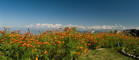 Uttarakhand Tour Packages, Uttarakhand Package Tours, Uttarakhand Tourism, Tour Package to Uttarakhand
