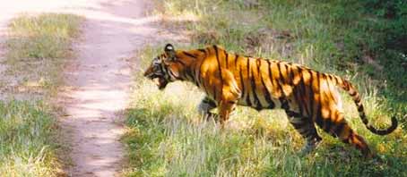 Uttarakhand Tour Packages, Uttarakhand Package Tours, Uttarakhand Tourism, Tour Package to Uttarakhand