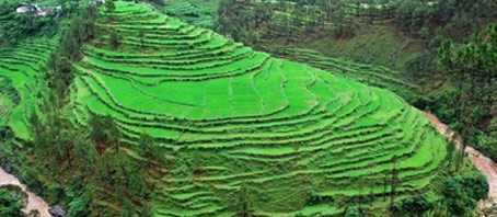 Uttarakhand Tour Packages, Uttarakhand Package Tours, Uttarakhand Tourism, Tour Package to Uttarakhand