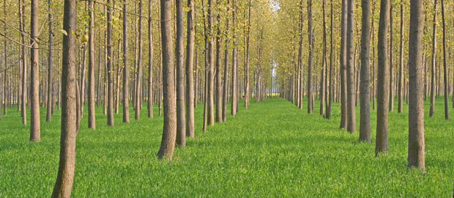 Uttarakhand Tour Packages, Uttarakhand Package Tours, Uttarakhand Tourism, Tour Package to Uttarakhand